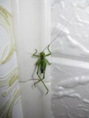 IMG 8651