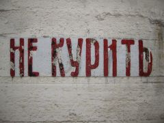IMG 8564