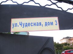 IMG 8395