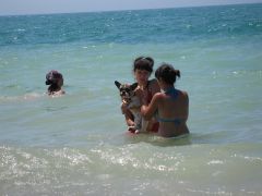 IMG 8634