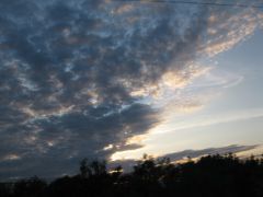 IMG 8357