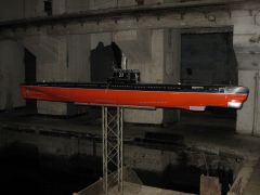 IMG 8571