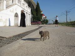 IMG 8612