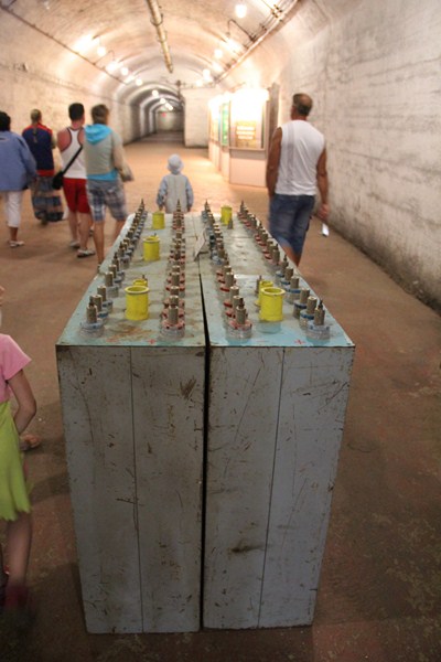 IMG 0247