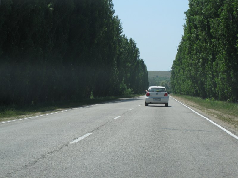 IMG 8709