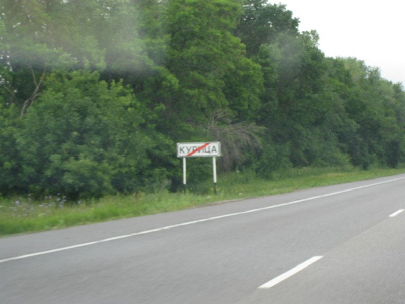 IMG 8751