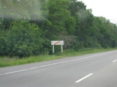 IMG 8751