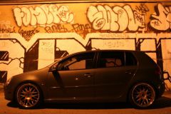 514rabbit Golf V (Rabbit)