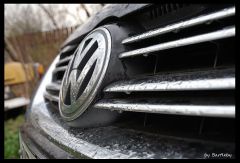 Jetta