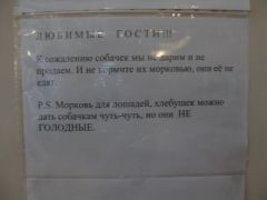IMG 8829