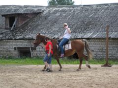 IMG 8941
