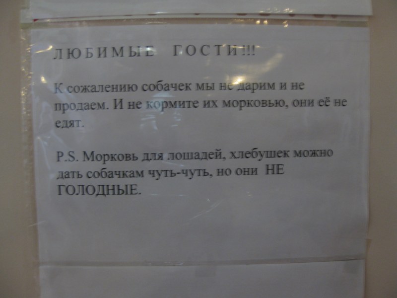 IMG 8829