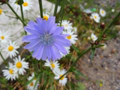DSCN0158
