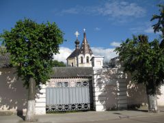 IMG 8985