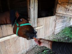 DSCN0148