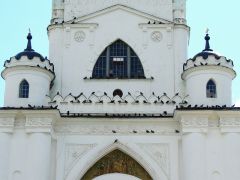 DSCN1667