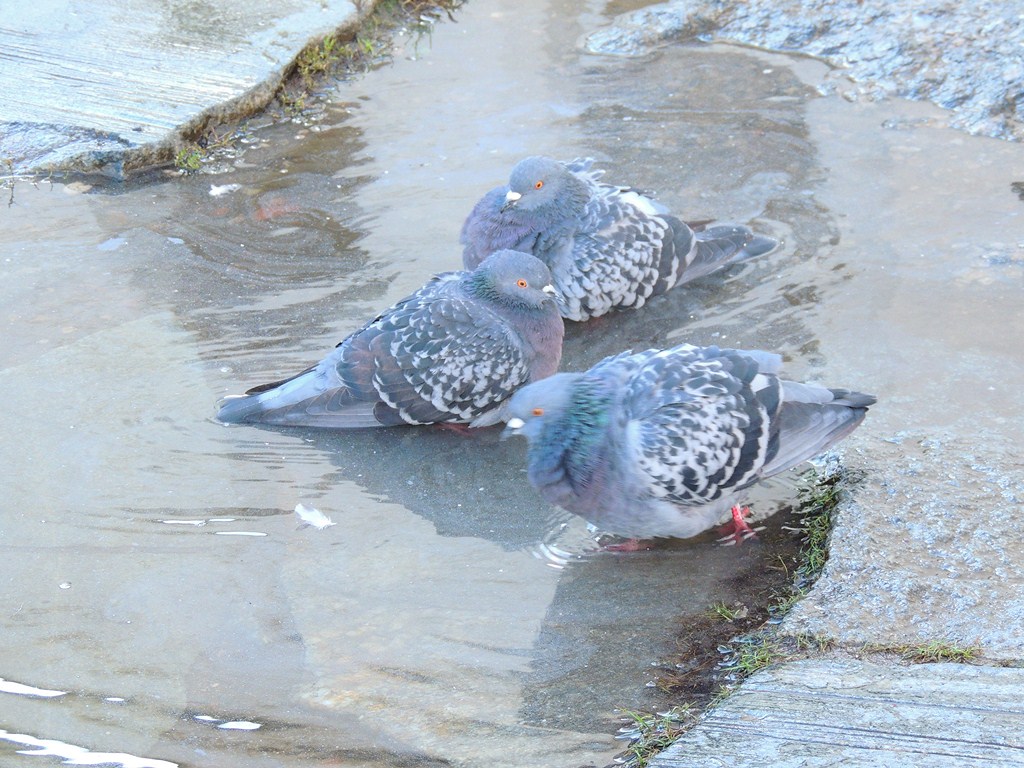 DSCN2172