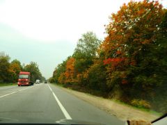 DSCN2042