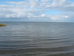 IMG 0358