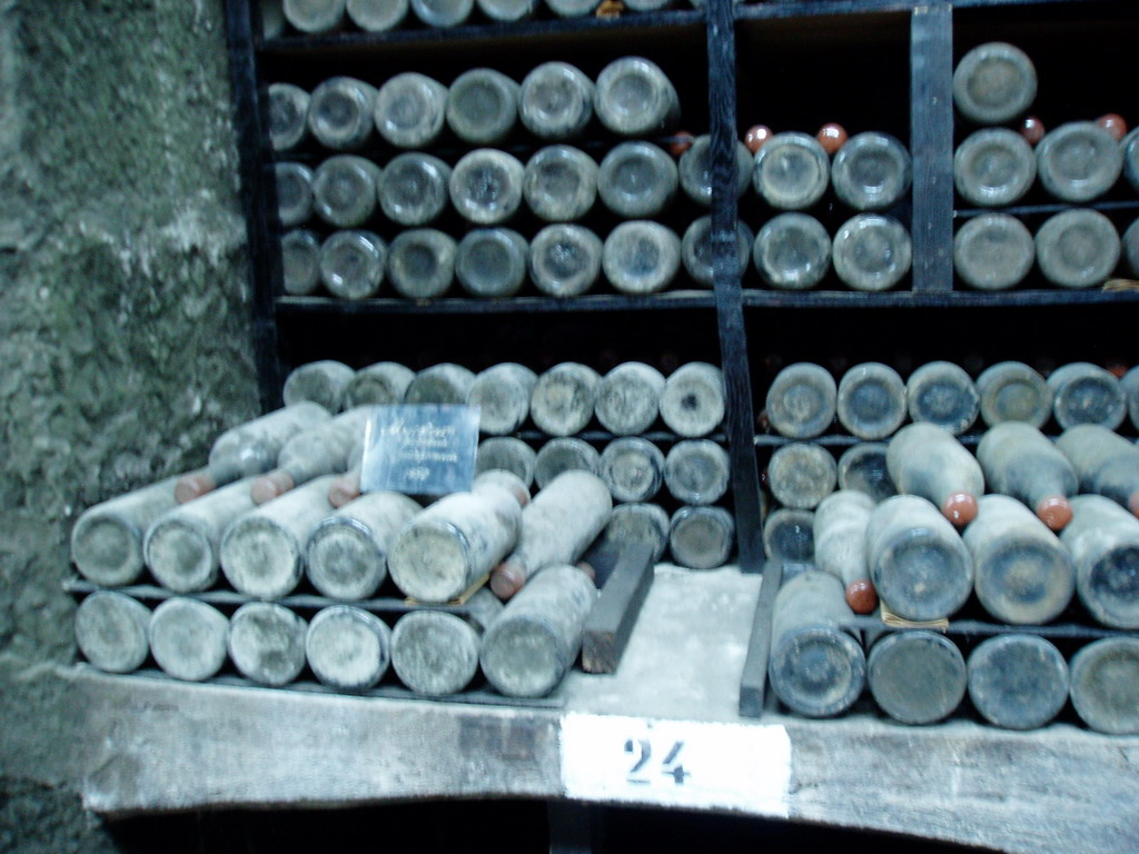 Экскурсия по Винзаводу Массандра.