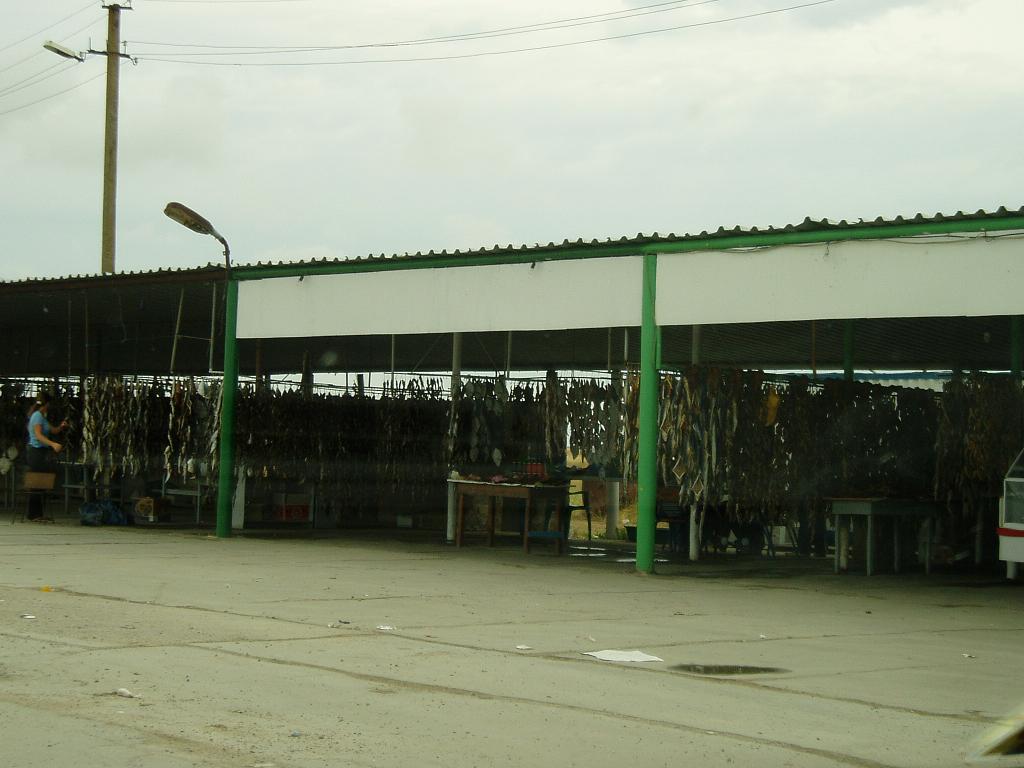 Дорога Обратно! Алушта-Харьков!