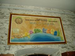 Экскурсия по Винзаводу Массандра.