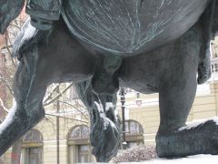 IMG 1428