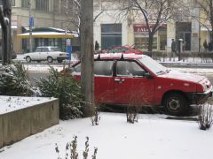 IMG 1515