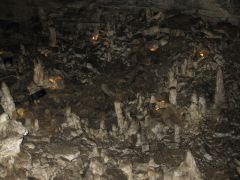 IMG 1291