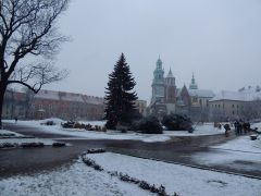 DSCN3830