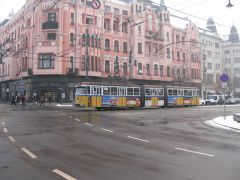 IMG 1514
