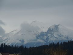 DSCN3231