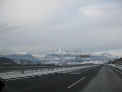 IMG 1336