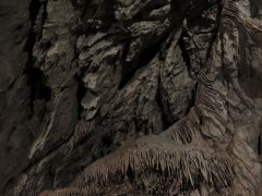 DSCN3716