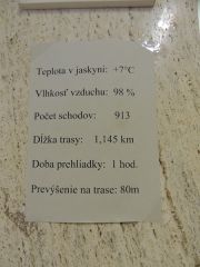 DSCN3752