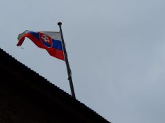 DSCN3641