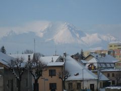 IMG 1376
