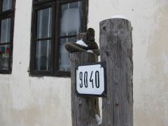 IMG 1325