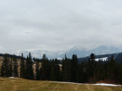 DSCN3274
