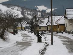 IMG 1322