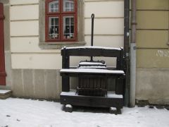 IMG 1446