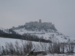IMG 1405