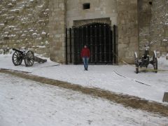IMG 1453