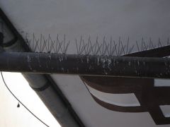 IMG 1085