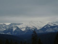 DSCN3229