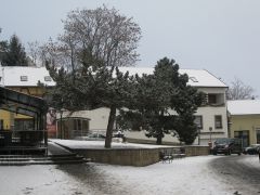 IMG 1445