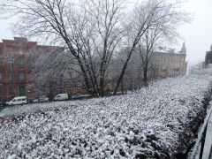DSCN3822