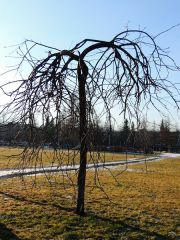 DSCN3103