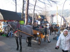 IMG 8893