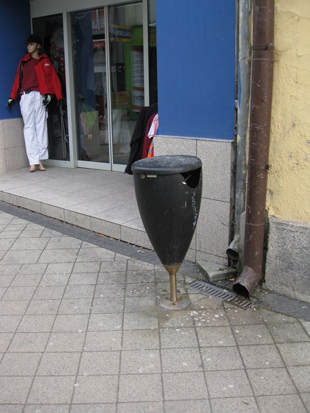 IMG 1293